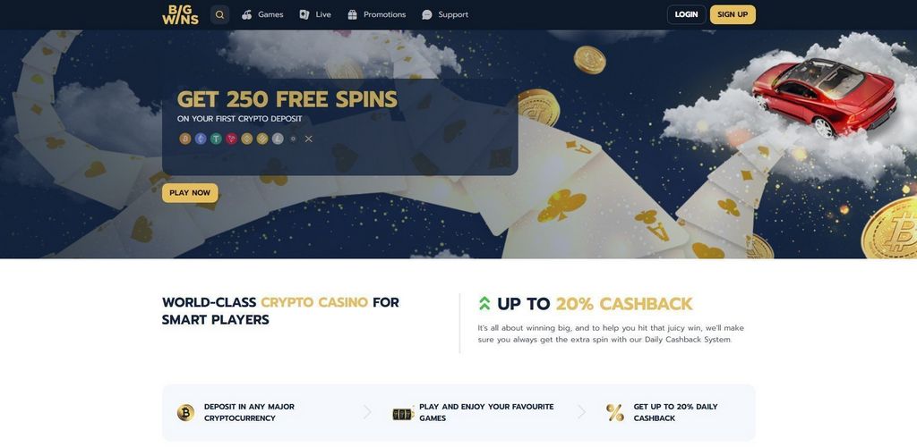 BigWins 2025 - Financial & Payment Options at BigWins